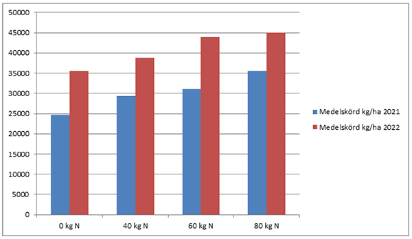 Figur 2 visar medelskördar i kg/ha >30 mm vid olika kvävegödslingsnivåer 2021 och 2022.