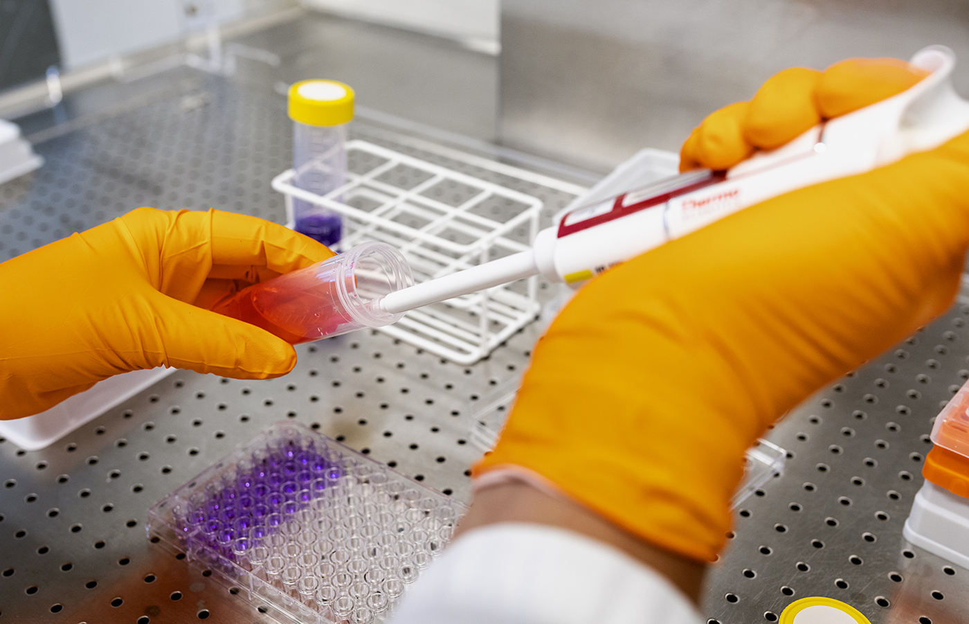 Hands wearing protection gloves are handling a test tube and a pipette.