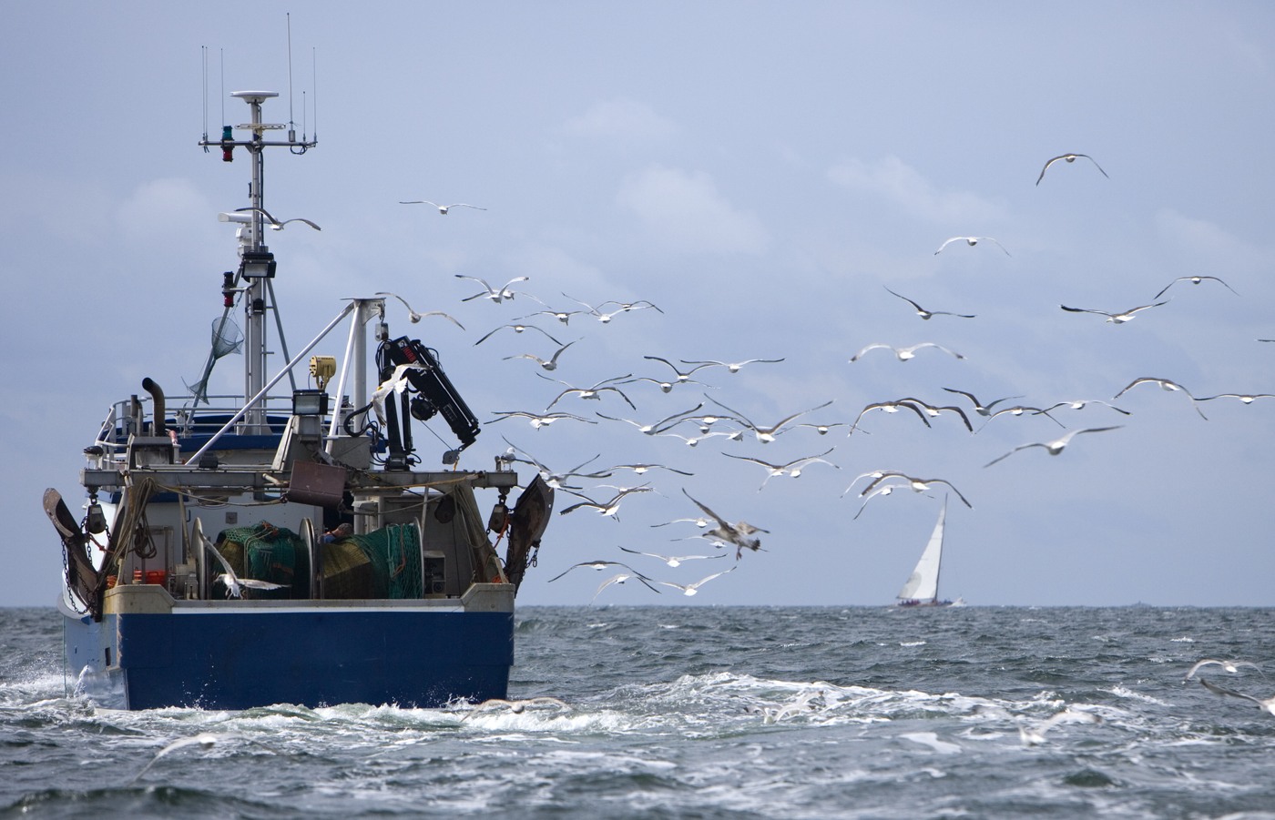 Fiskebåt till havs med sjöfåglar som flyger runt den