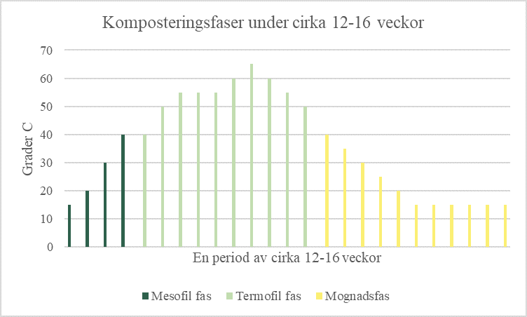 Diagram som visar temperaturutvecklingen i en kompost under en period av cirka 12–16 veckor.