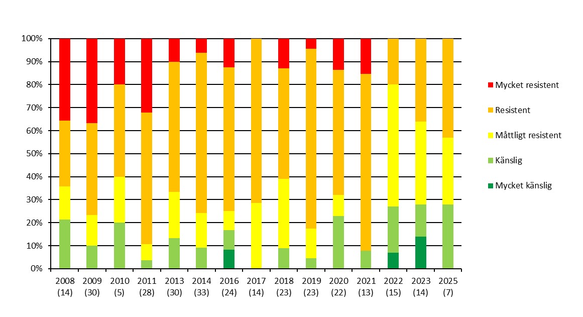 Staplarna visar hur andelen av testade rapsbaggepopulationer är klassificerade för pyretroidresistens och hur det har utvecklats sedan 2008. Siffran inom parantes anger antalet provplatser. År 2024 testades inte lambda-cyhalotrin.