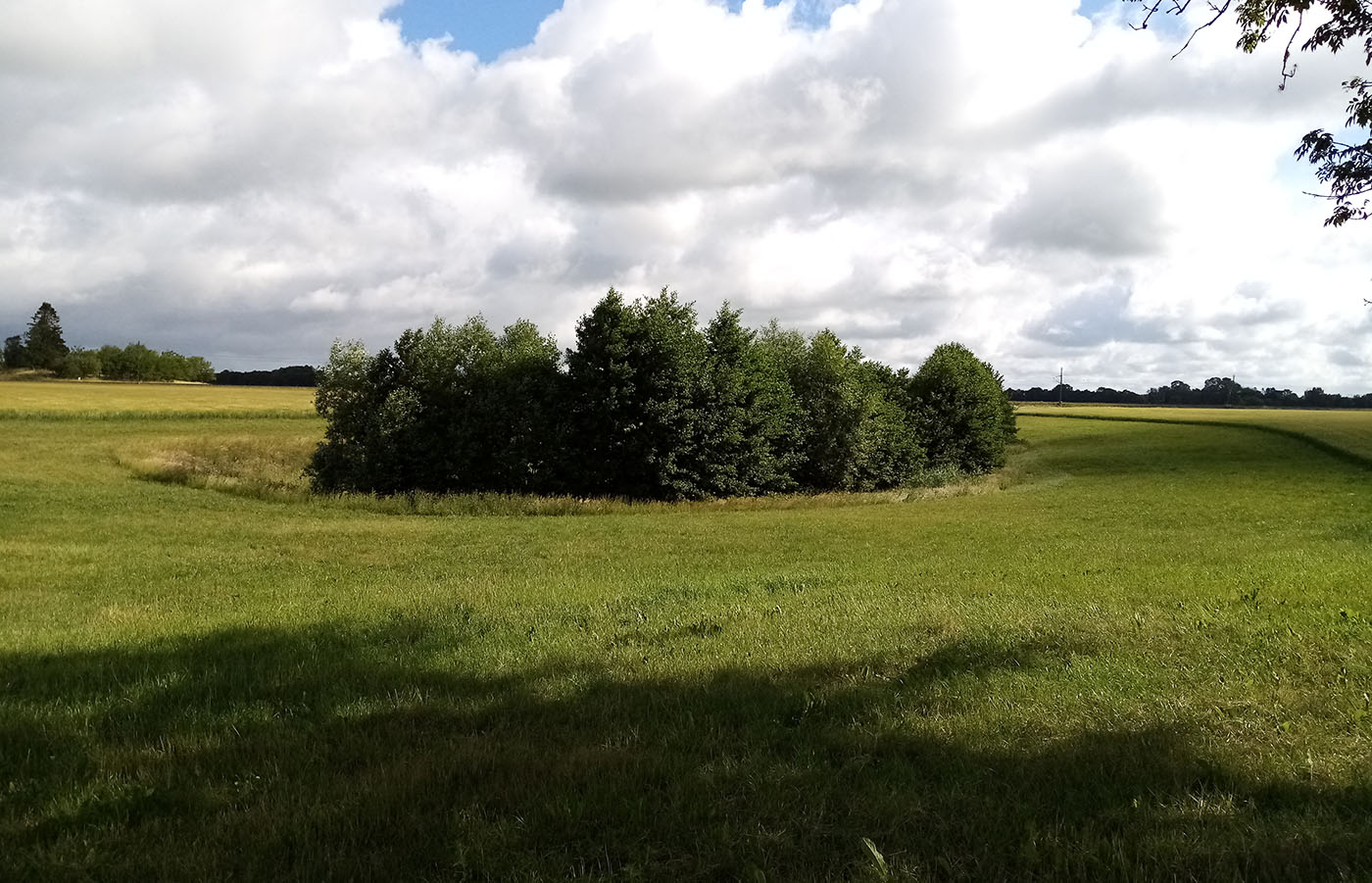 Våtmark på Logården