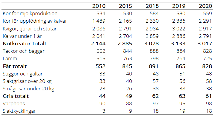 Tablå B. Antal företag med omställda ekologiska djur 2010, 2015 samt 2018–2020