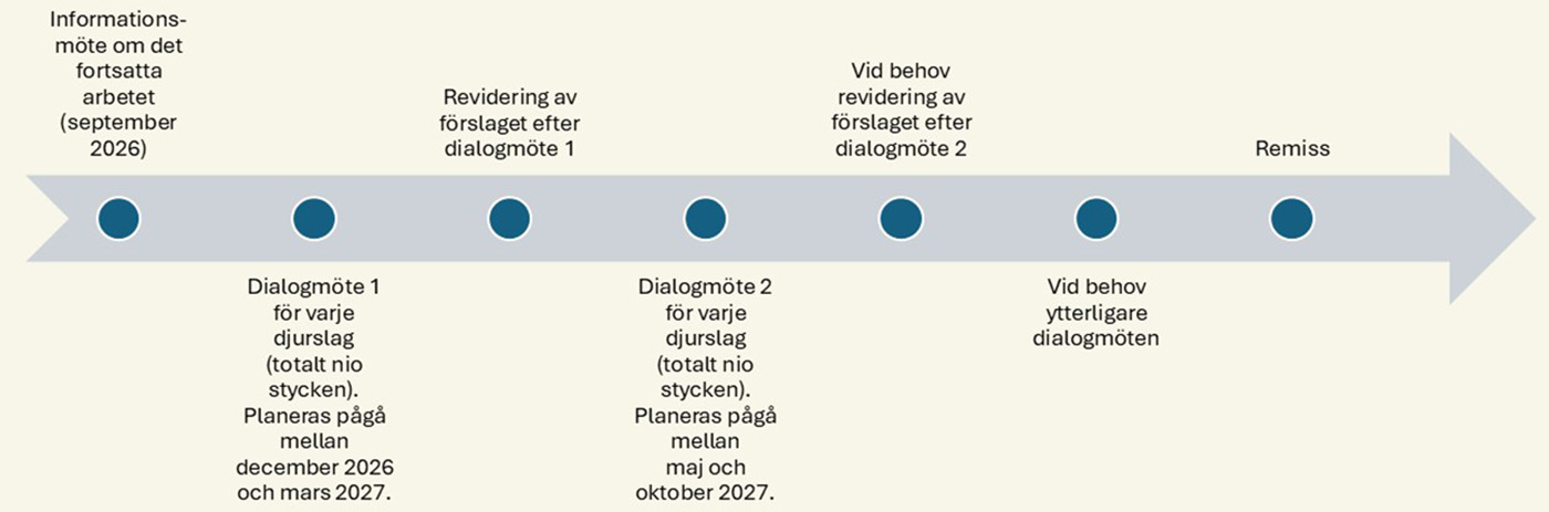 Figur över en linjär process som innehåller informationsmöte, dialogmöte 1, revidering, dialogmöte 2, revidering samt remiss