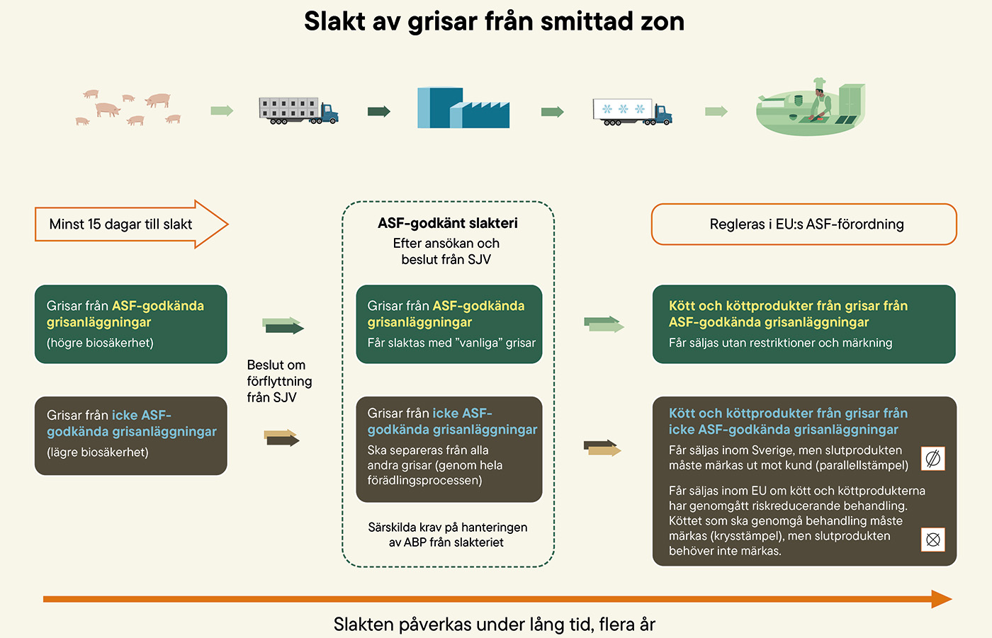 Illustration som visar slaktprocessen