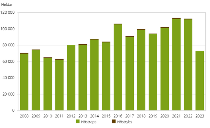 Figur B. Höstsådda arealer av oljeväxter 2008–2023