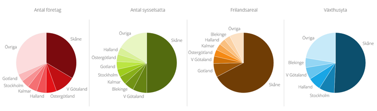 Figur E. Länsfördelning av antal företag, antal sysselsatta, frilandsareal och växthusyta inom trädgårdsodlingen, år 2023.