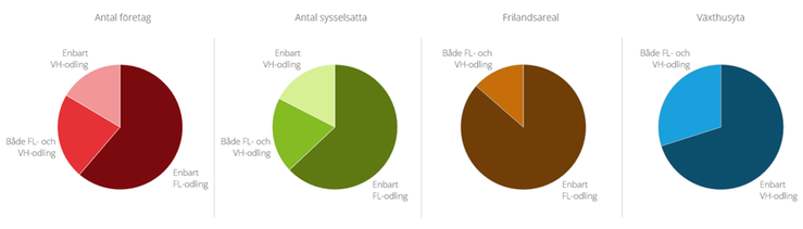 Figur I. Fördelning av antal företag, sysselsättning, frilandsareal och växthusyta efter odlingsform, år 2023.