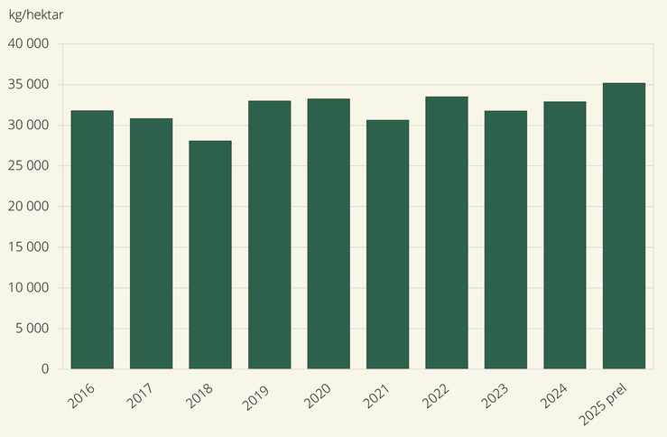 Figur C. Matpotatis. Hektarskördar 2016–2025