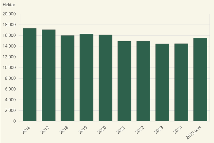 Figur E. Matpotatis. Arealer 2016–2025