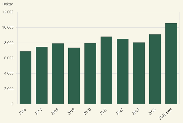 Figur F. Potatis för stärkelse. Arealer 2016–2025