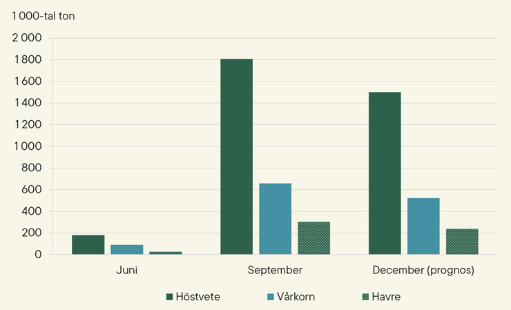 Figur A. Lagerhållning av höstvete, vårkorn och havre 30 juni, 30 september och 31 december (prognos) 2025, 1000-tal ton
