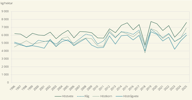 Hektarskördar av höstsådda spannmålsgrödor, år 1996–2025 