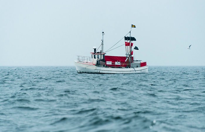 Fiskebåt på havet.