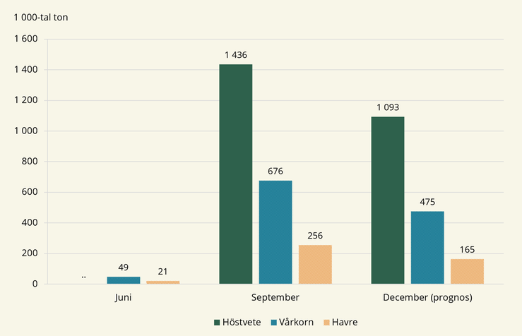 Figur A. Lagerhållning 30 juni, 30 september och 31 december (prognos) 2024 av höstvete, vårkorn och havre, 1000-tal ton