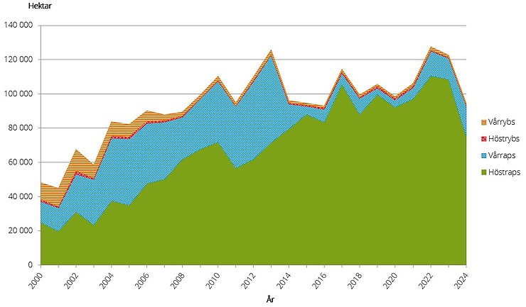 Figur G. Utveckling för raps och rybs 2000–2024, areal i hektar