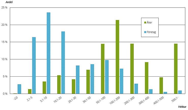 Figur I. Andel företag och andel åkerareal som finns i respektive storleksgrupp åker 2024