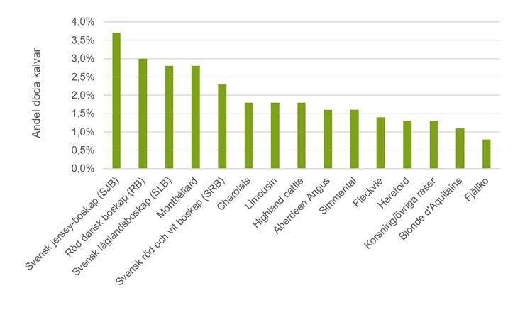 Figur B. Andel kalvar som dör inom månad, fördelat efter ras 2022