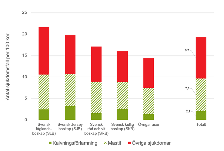 Figur E. Förekomst av vissa sjukdomar hos mjölkkor efter ras 2022/2023, antal sjukdomar per 100 kor