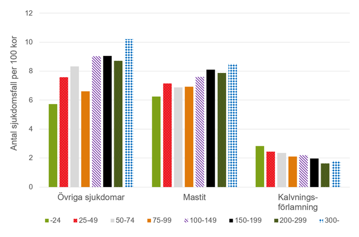 Figur G. Antal sjukdomstillfällen per 100 kor för några sjukdomar i besättningar av olika storlek, kontrollår 2022/2023