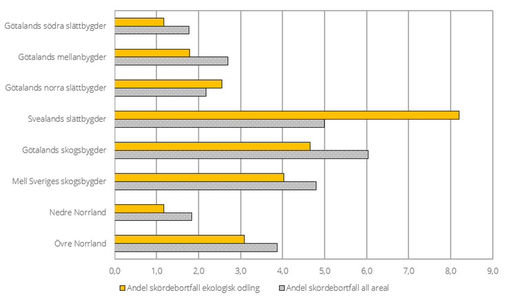 Figur F. Andel skördebortfall i spannmål 2023 orsakat av viltskador vid ekologisk odling jämfört med all areal, procent