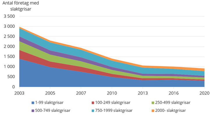 Figur F. Förändring av antalet företag med slaktgrisar mellan 2003 och 2020 fördelat på besättningsstorlekar