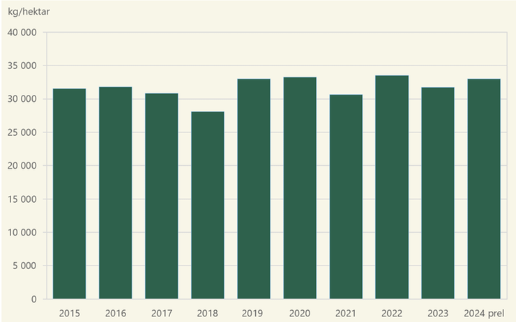 Figur C. Matpotatis. Hektarskördar 2015–2024