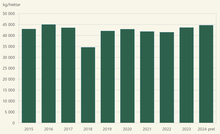 Figur D. Potatis för stärkelse. Hektarskördar 2015–2024