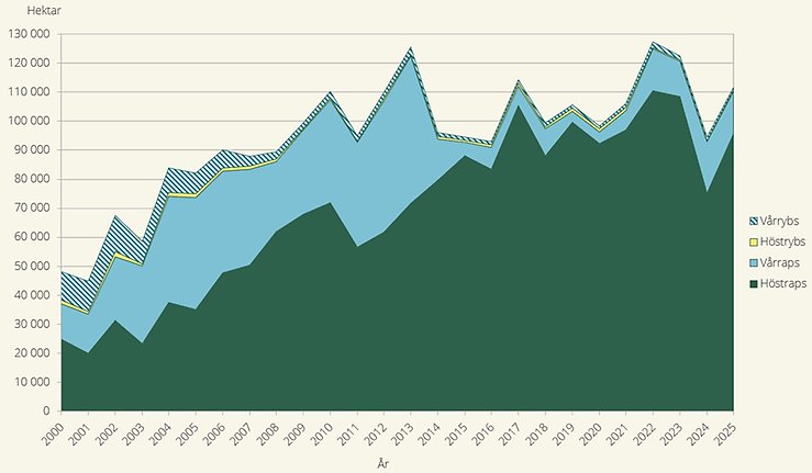 Figur G. Utveckling för raps och rybs 2000–2025, areal i hektar