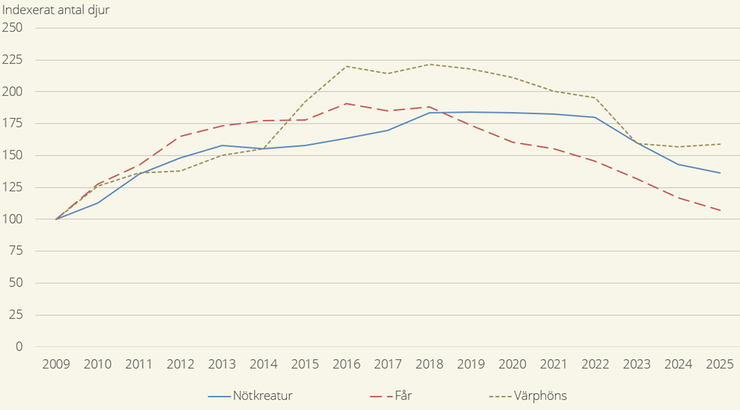 Figur A. Indexerat antal ekologiska djur 2009–2025 för nötkreatur, får och värphöns