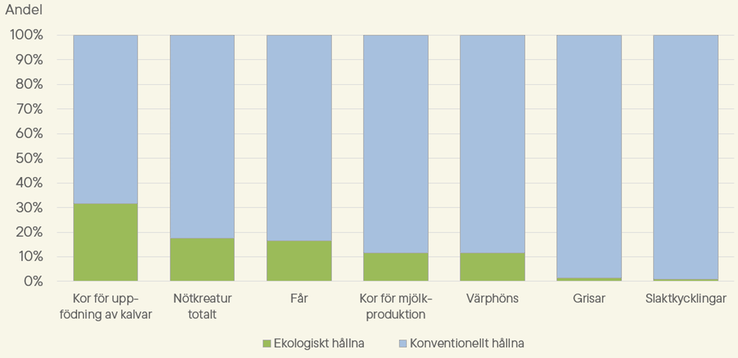 Figur B. Andelar ekologiskt och konventionellt hållna djur 2025