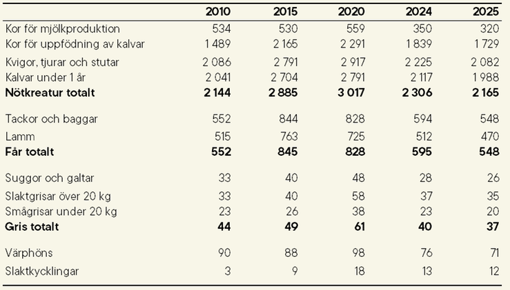Tablå B. Antal företag med omställda ekologiska djur 2010, 2015, 2020 samt 2024–2025