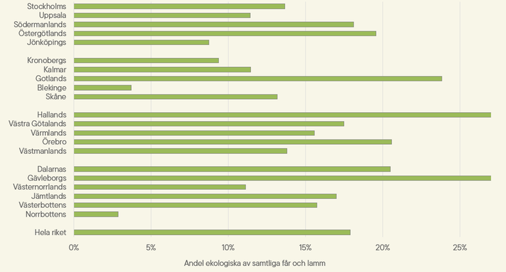 Figur F. Andel omställda ekologiska får och lamm per län 2025.