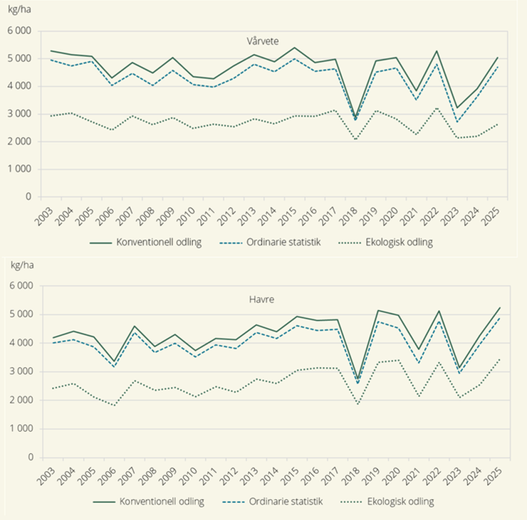 Hektarskördar för vårvete och havre från arealer med ekologisk odling och från konventionell odling, samt från den ordinarie officiella skördestatistiken 2003–2025