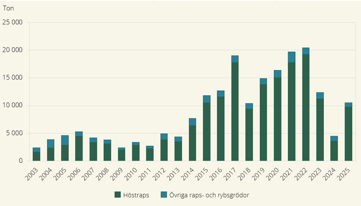 Figur I. Total skörd från ekologiskt odlad areal av höstraps och övriga raps- och rybsgrödor 2003–2025