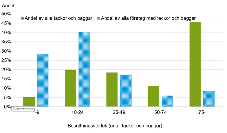 Figur C. Andel tackor och baggar samt företag med tackor och baggar efter besättningsstorlek 2023