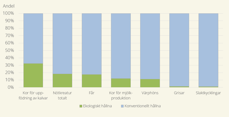 Figur B. Andelar ekologiskt och konventionellt hållna djur 2024.