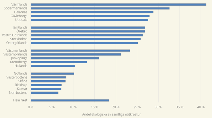 Figur D. Andel omställda ekologiska nötkreatur per län 2024. Sorterat från högsta till lägsta andel.