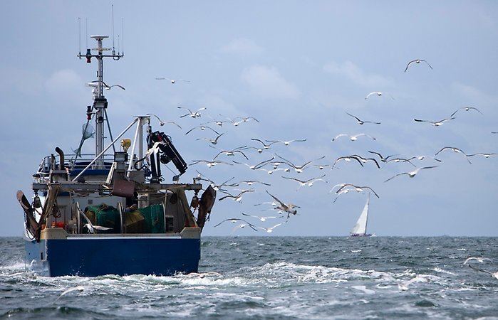 Fiskebåt till havs med sjöfåglar som flyger runt den
