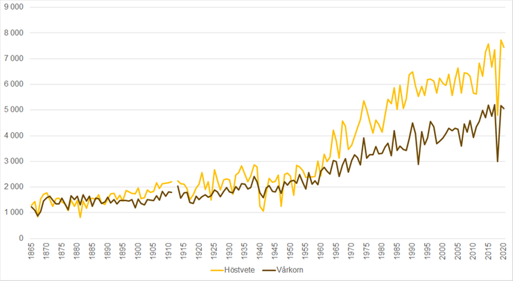 Figur E. Hektarskörd för höstvete och korn 1865-2020, kilo per hektar