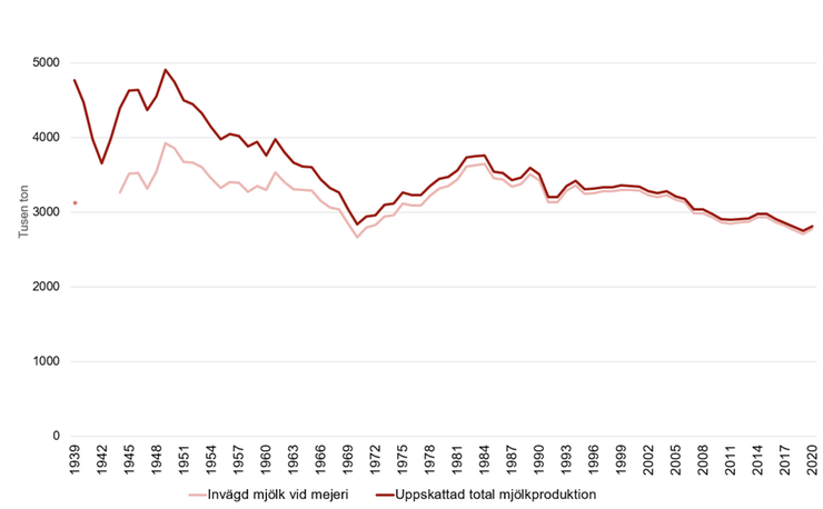 Mjölkproduktion, tusent ton. Tabellen visar att mjölkproduktionen minskat och att andelen som säljs utanför mejeri var betydlig 1939 men nu är försumbar
