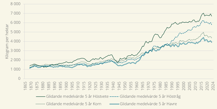 Femårigt glidande medelvärde för hektarskörd av spannmål, kilogram per hektar. Bilden visar att hektaravkastningen för spannmål ökat sedan mätningarna började.