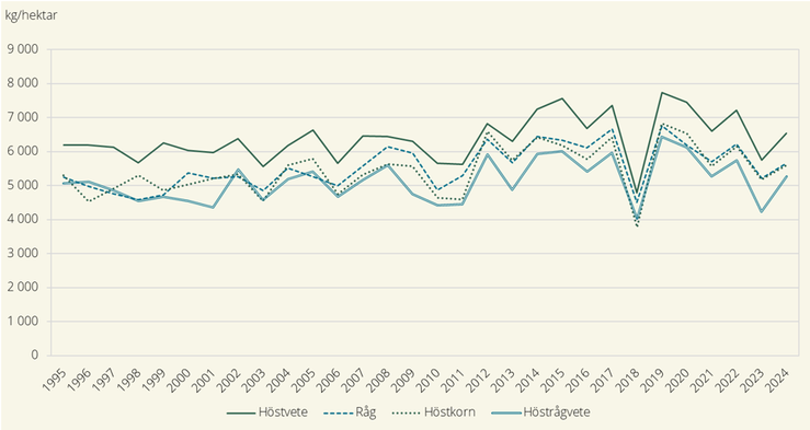 Hektarskördar av höstsådda spannmålsgrödor, år 1995–2024 