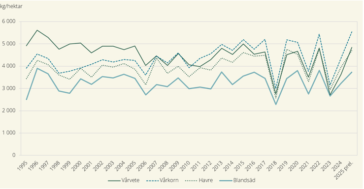 Figur A. Hektarskördar av vårsådda spannmålsgrödor 1995-2025.