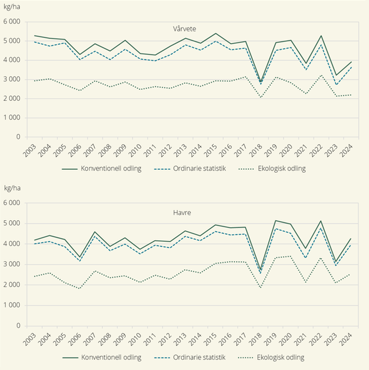 Hektarskördar för vårvete och havre från arealer med ekologisk odling och från konventionell odling, samt från den ordinarie officiella skördestatistiken 2003–2024