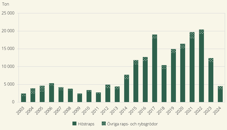 Figur I. Total skörd från ekologiskt odlad areal av höstraps och övriga raps- och rybsgrödor 2003–2024