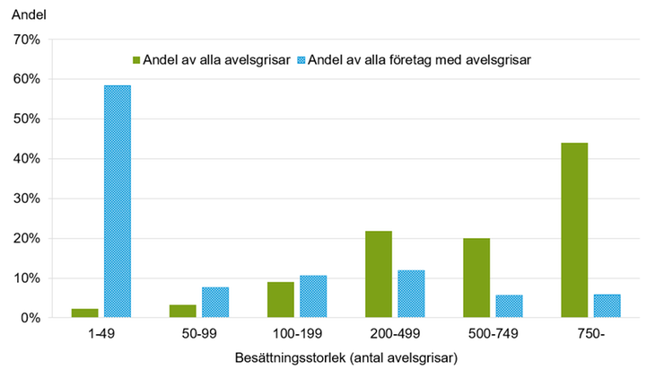 Figur C. Andel avelsgrisar och företag med avelsgrisar efter besättningsstorlek 2022