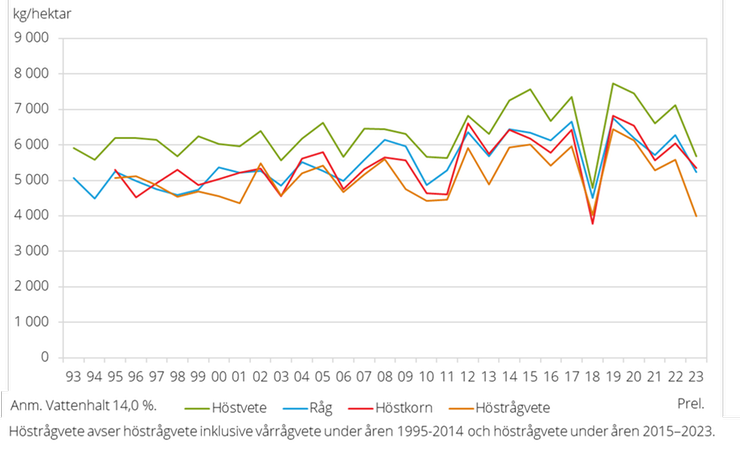 Figur B. Hektarskördar av höstsådda spannmålsgrödor 1993-2023.