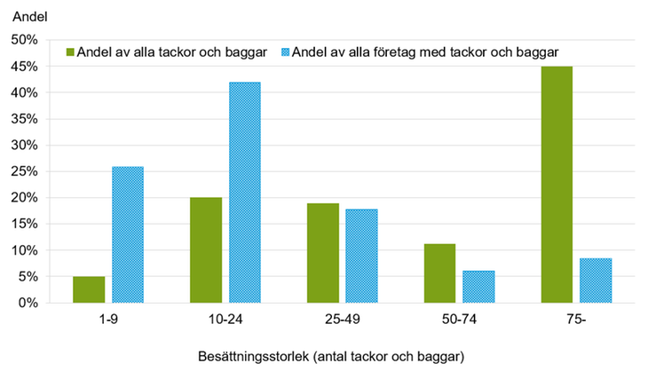 Figur B. Andel tackor och baggar samt företag med tackor och baggar efter besättningsstorlek 2022