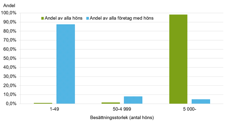 Figur E. Andel höns och företag med höns efter besättningsstorlek 2021